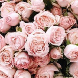 Meet your Posher, Lydia